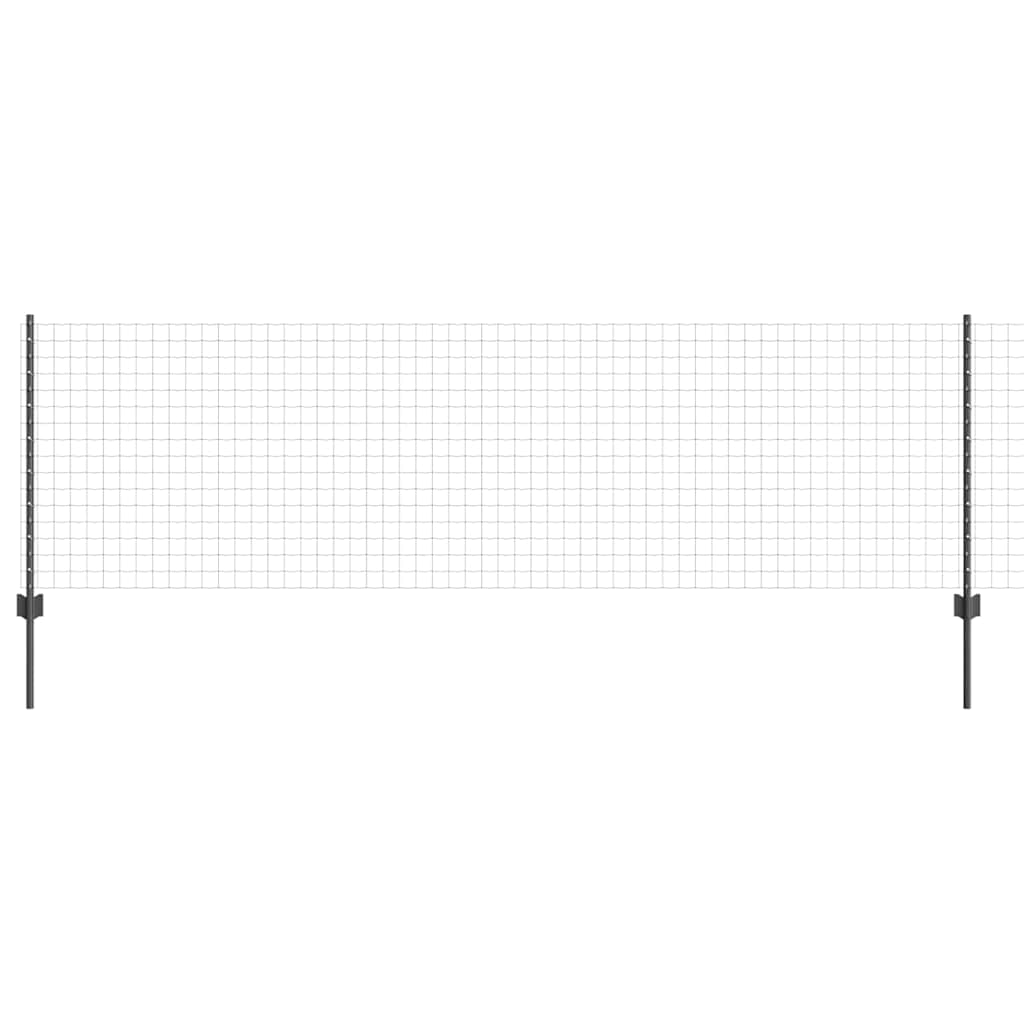 Eurohegn med stolpe 25 x 0,8 m PVC-belagt stål Grå Mesh