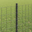 Eurohegn med stolpe 25 x 0,8 m PVC-belagt stål Grå Mesh