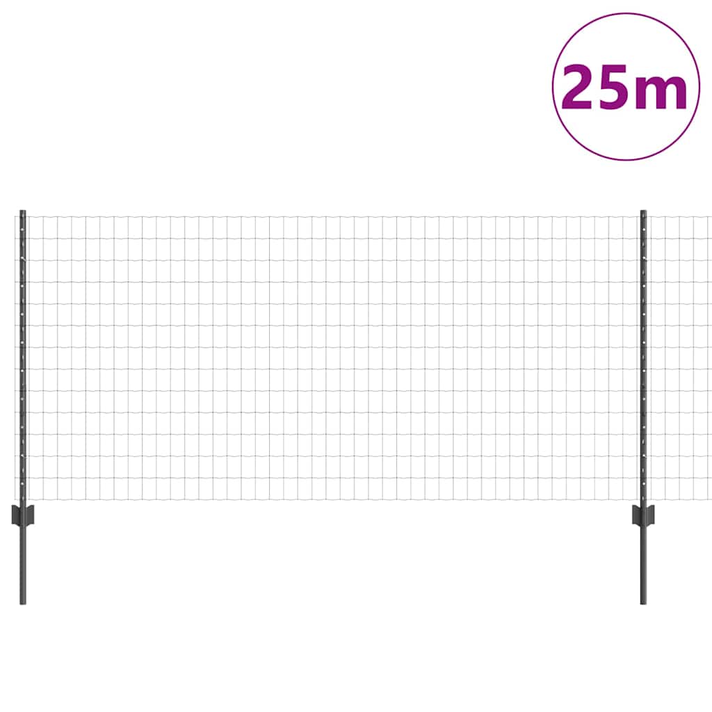 Eurohegn med stolpe 25 x 1 m PVC-belagt stål Grå Mesh
