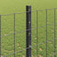 Eurohegn med stolpe 25 x 1,2 m PVC-belagt stål Grå Mesh