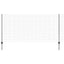 Eurohegn med stolpe 25 x 1,2 m PVC-belagt stål Grå Mesh