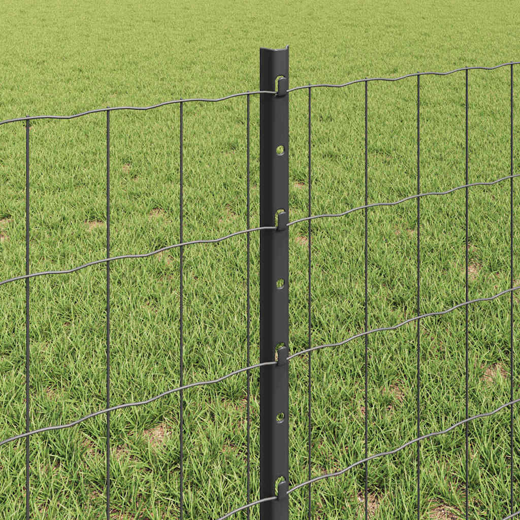 Eurohegn med stolpe 25 x 0,6 m PVC-belagt stål Grå Mesh