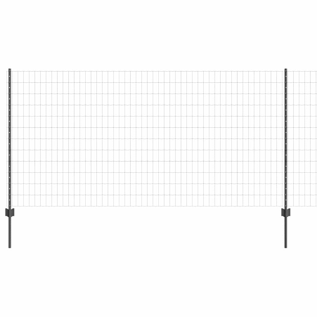 Eurohegn med stolpe 25 x 1,2 m PVC-belagt stål Grå Mesh