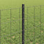 Eurohegn med stolpe 25 x 0,6 m PVC-belagt stål Grå Mesh