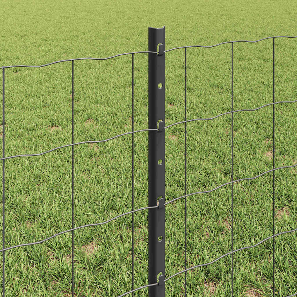 Eurohegn med stolpe 25 x 0,6 m PVC-belagt stål Grå Mesh