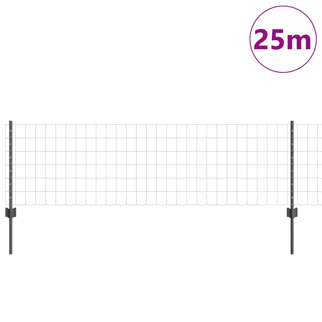 Eurohegn med stolpe 25 x 0,6 m PVC-belagt stål Grå Mesh