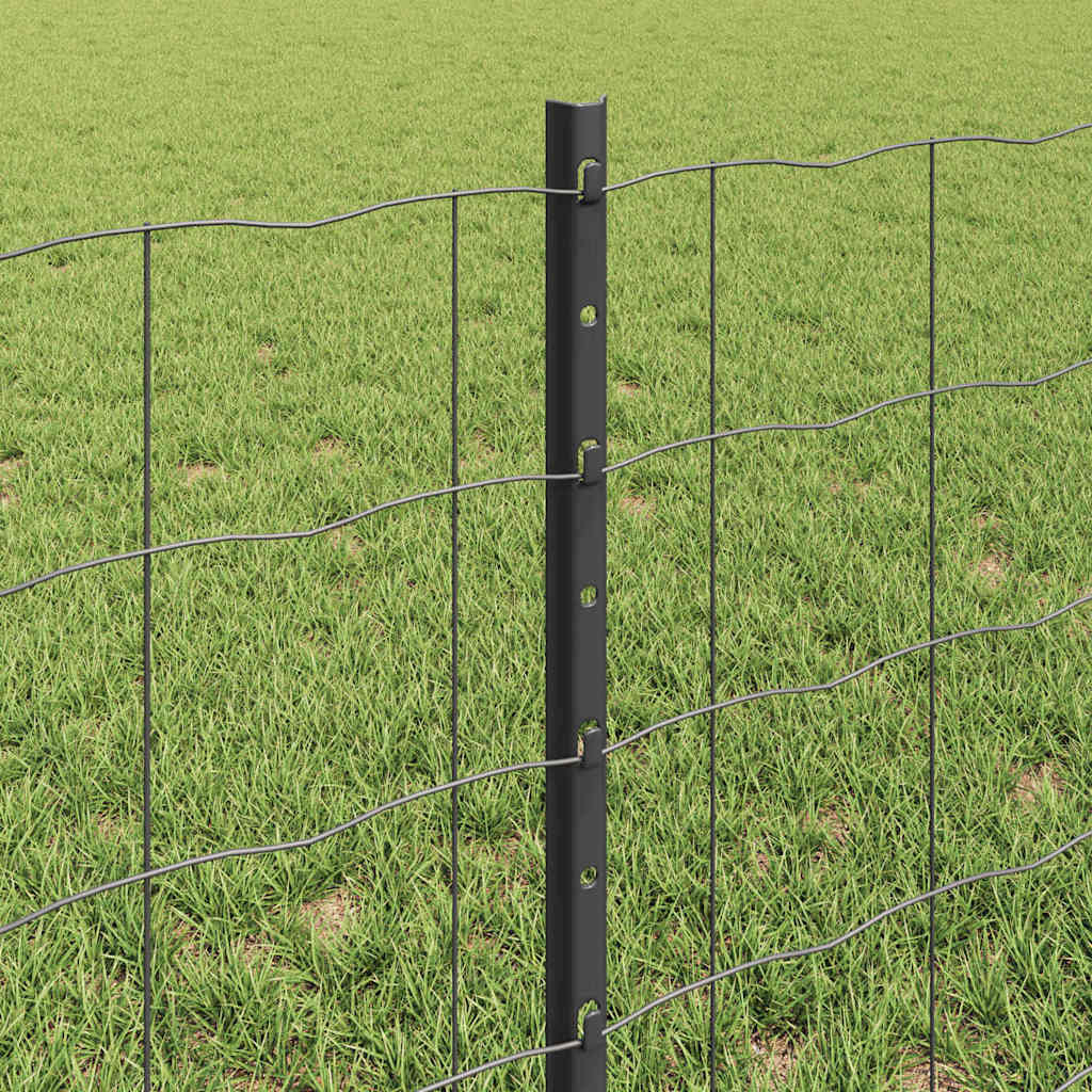Eurohegn med stolpe 25 x 0,6 m PVC-belagt stål Grå Mesh
