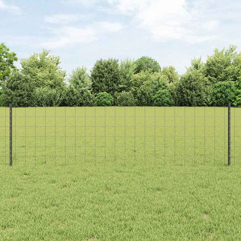 Eurohegn med stolpe 25 x 0,6 m PVC-belagt stål Grå Mesh