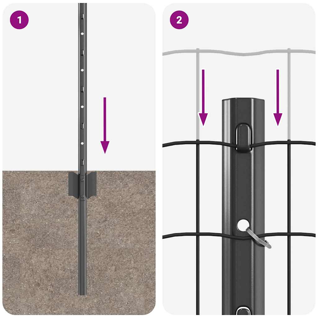 Eurohegn med stolpe 25 x 0,6 m PVC-belagt stål Grå Mesh