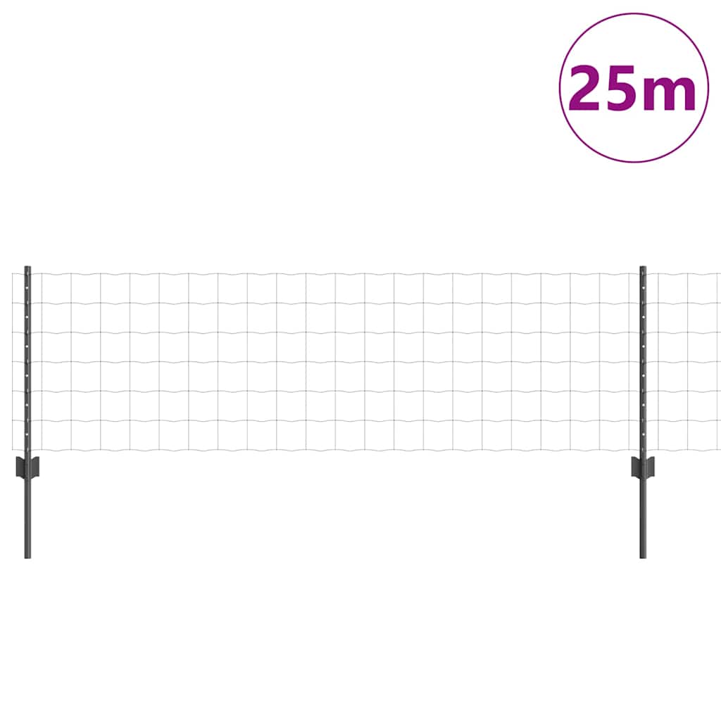 Eurohegn med stolpe 25 x 0,6 m PVC-belagt stål Grå Mesh