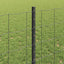Eurohegn med stolpe 25 x 0,8 m PVC-belagt stål Grå Mesh