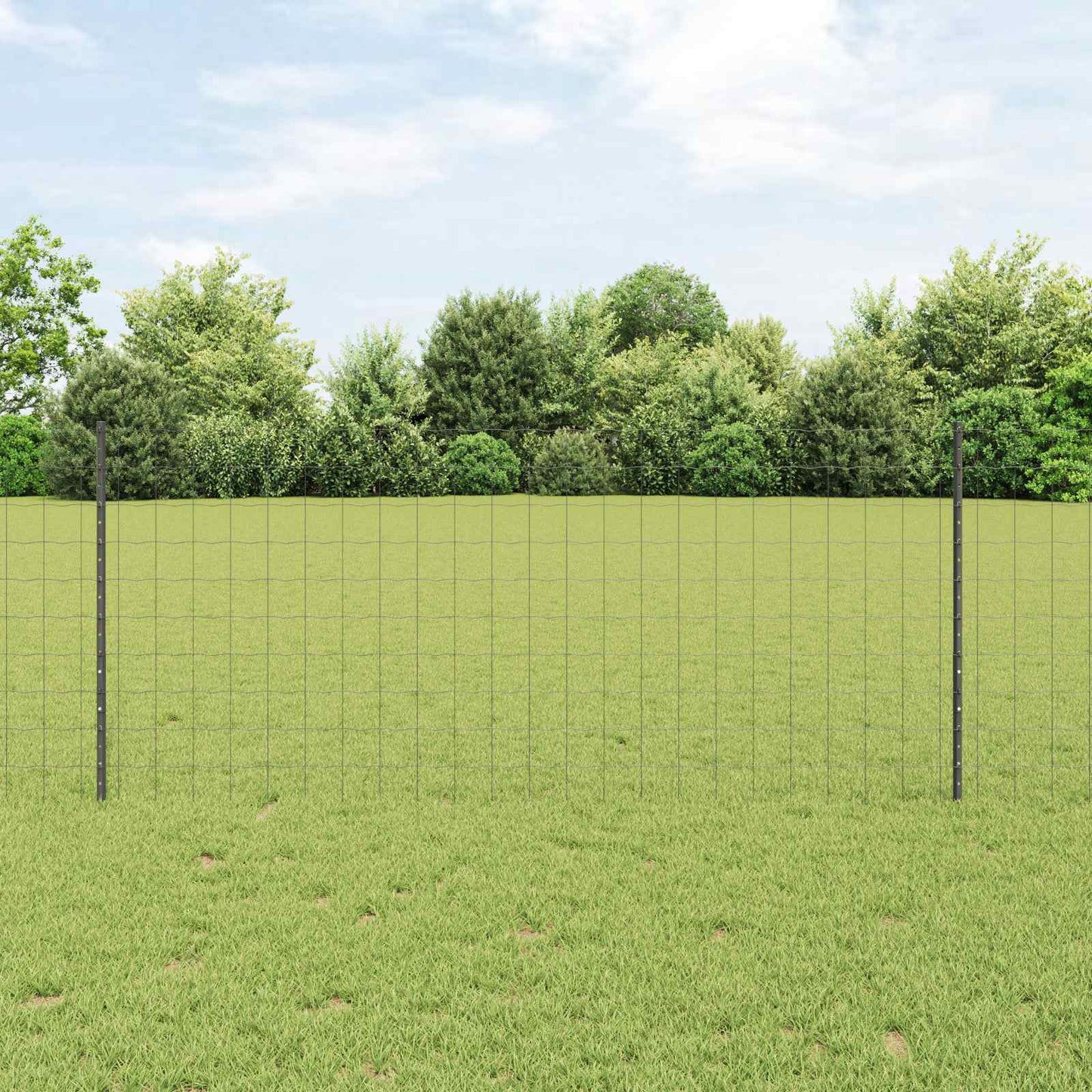 Eurohegn med stolpe 25 x 1 m PVC-belagt stål Grå Mesh