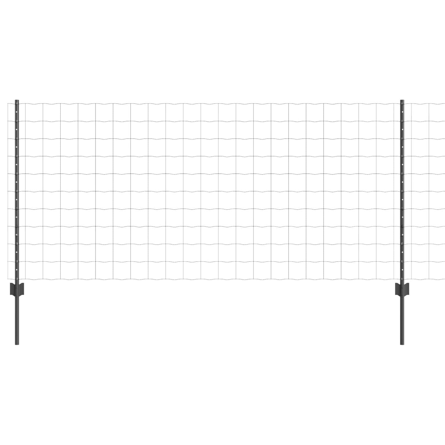 Eurohegn med stolpe 25 x 1 m PVC-belagt stål Grå Mesh