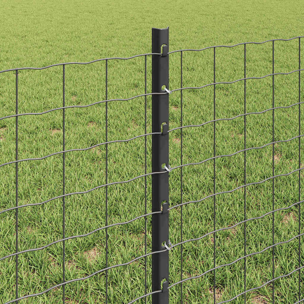 Eurohegn med stolpe 50 x 0,6 m PVC-belagt stål Grå Mesh