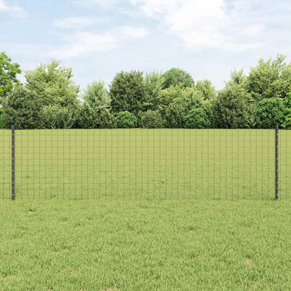 Eurohegn med stolpe 50 x 0,6 m PVC-belagt stål Grå Mesh