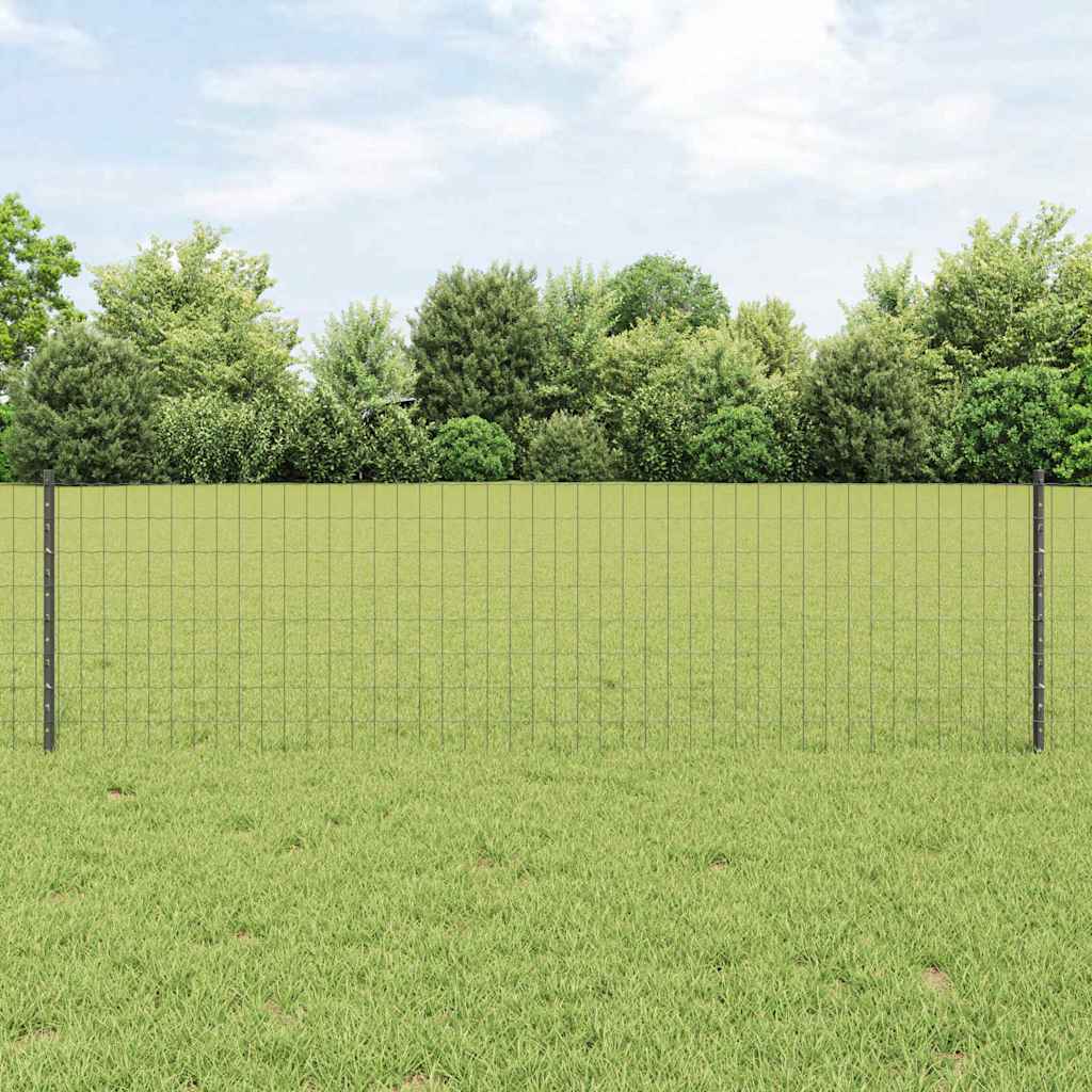 Eurohegn med stolpe 50 x 0,6 m PVC-belagt stål Grå Mesh