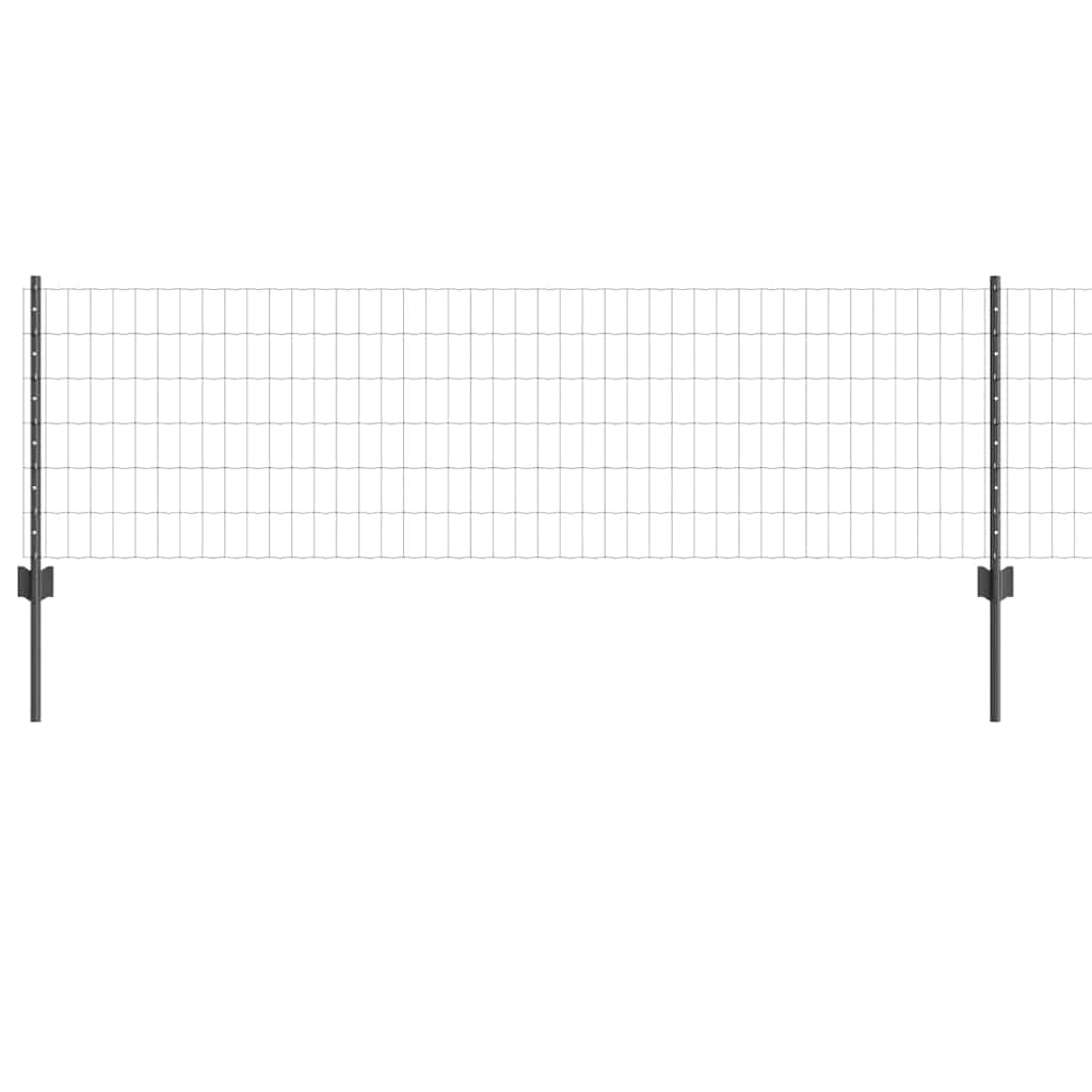 Eurohegn med stolpe 50 x 0,6 m PVC-belagt stål Grå Mesh