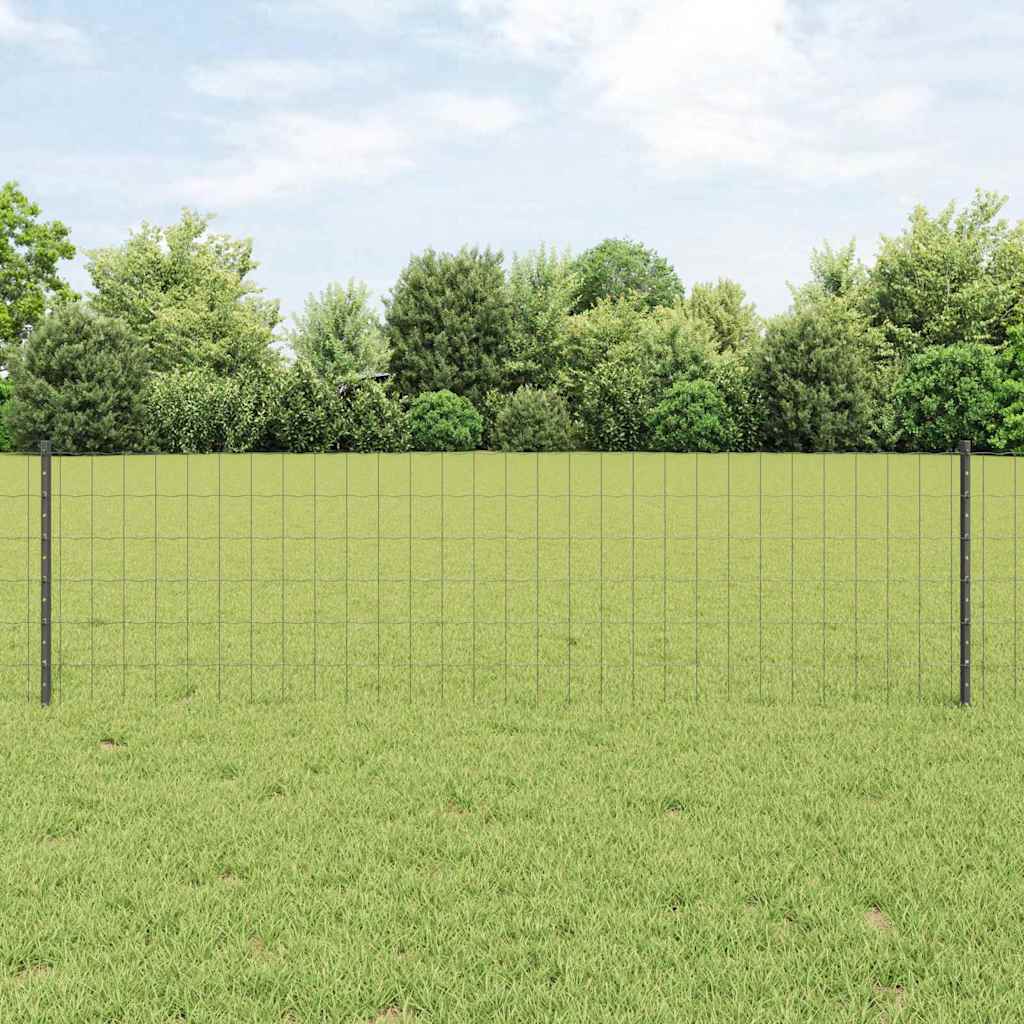 Eurohegn med stolpe 50 x 0,6 m PVC-belagt stål Grå Mesh
