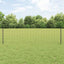 Eurohegn med stolpe 50 x 0,6 m PVC-belagt stål Grå Mesh