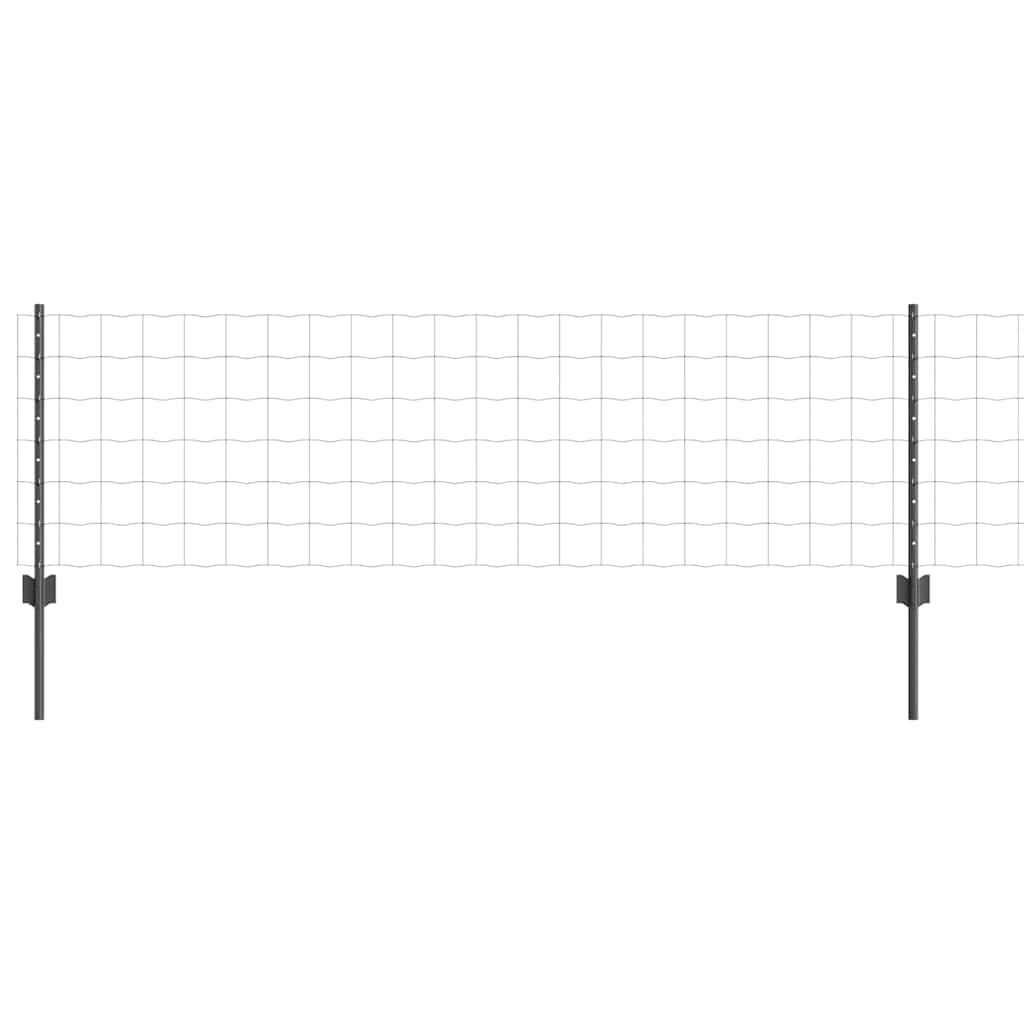 Eurohegn med stolpe 50 x 0,6 m PVC-belagt stål Grå Mesh