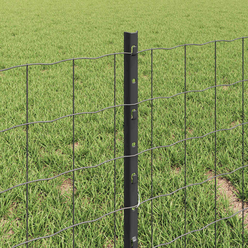 Eurohegn med stolpe 10 x 0,4 m PVC-belagt stål Grå Mesh