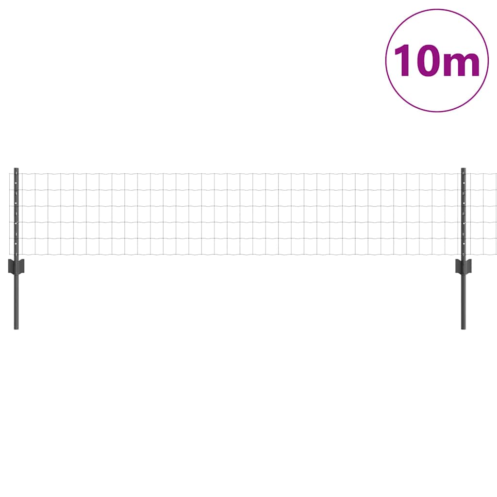 Eurohegn med stolpe 10 x 0,4 m PVC-belagt stål Grå Mesh
