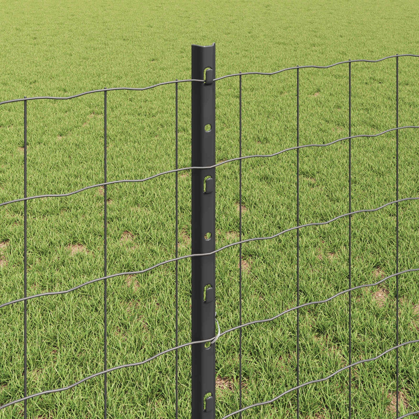 Eurohegn med stolpe 10 x 0,8 m PVC-belagt stål Grå Mesh