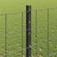 Eurohegn med stolpe 10 x 1,2 m PVC-belagt stål Grå Mesh