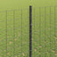 Eurohegn med stolpe 10 x 1,4 m PVC-belagt stål Grå Mesh