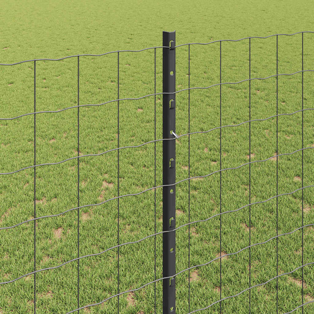 Eurohegn med stolpe 10 x 1,4 m PVC-belagt stål Grå Mesh