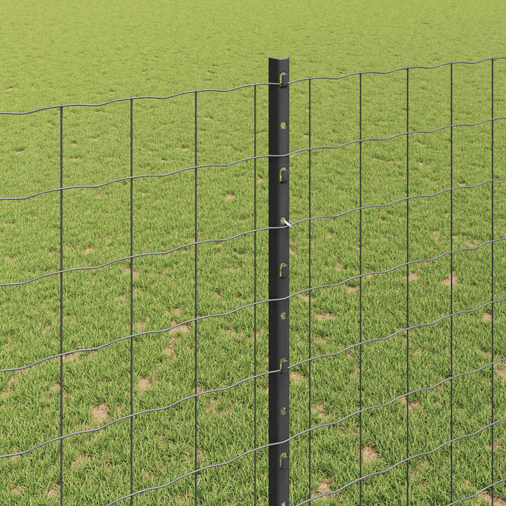 Eurohegn med stolpe 10 x 1,6 m PVC-belagt stål Grå Mesh