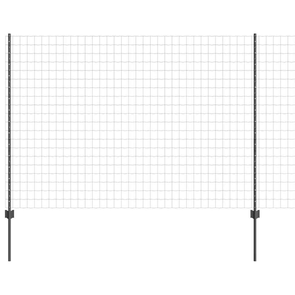 Eurohegn med stolpe 10 x 1,6 m PVC-belagt stål Grå Mesh