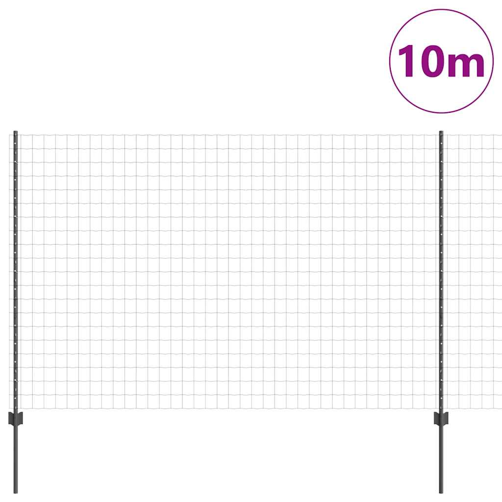 Eurohegn med stolpe 10 x 1,6 m PVC-belagt stål Grå Mesh