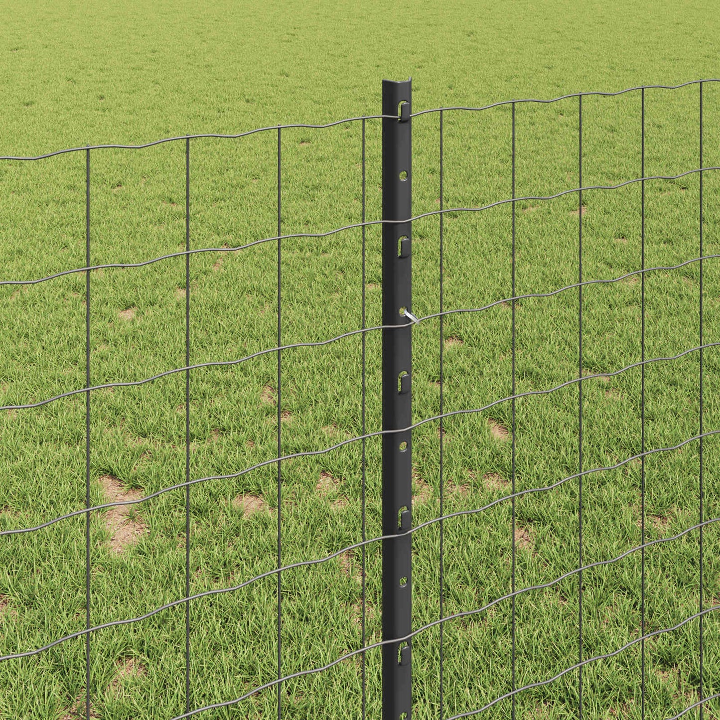 Eurohegn med stolpe 25 x 1 m PVC-belagt stål Grå Mesh