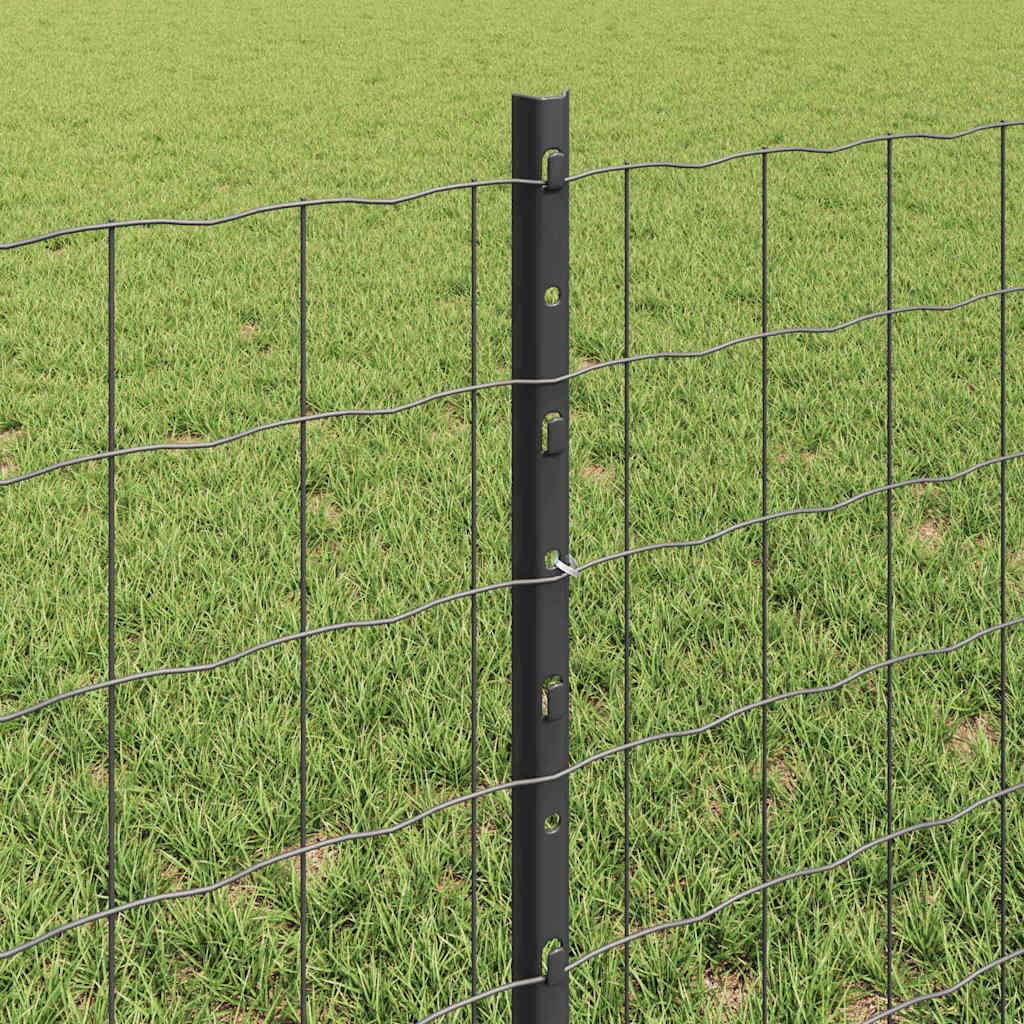 Eurohegn med stolpe 50 x 0,6 m PVC-belagt stål Grå Mesh