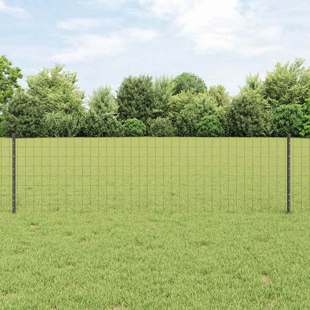 Eurohegn med stolpe 50 x 0,6 m PVC-belagt stål Grå Mesh