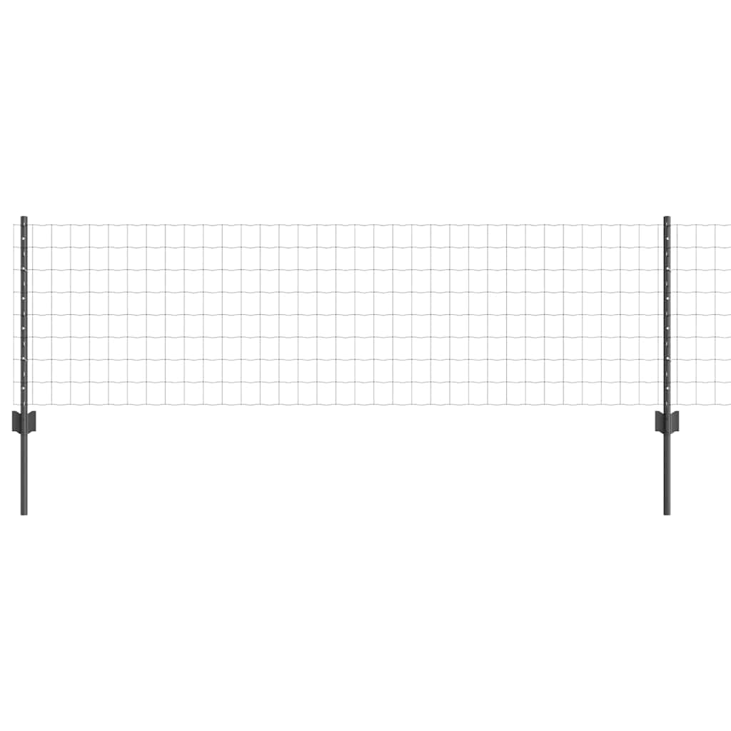 Eurohegn med stolpe 50 x 0,6 m PVC-belagt stål Grå Mesh