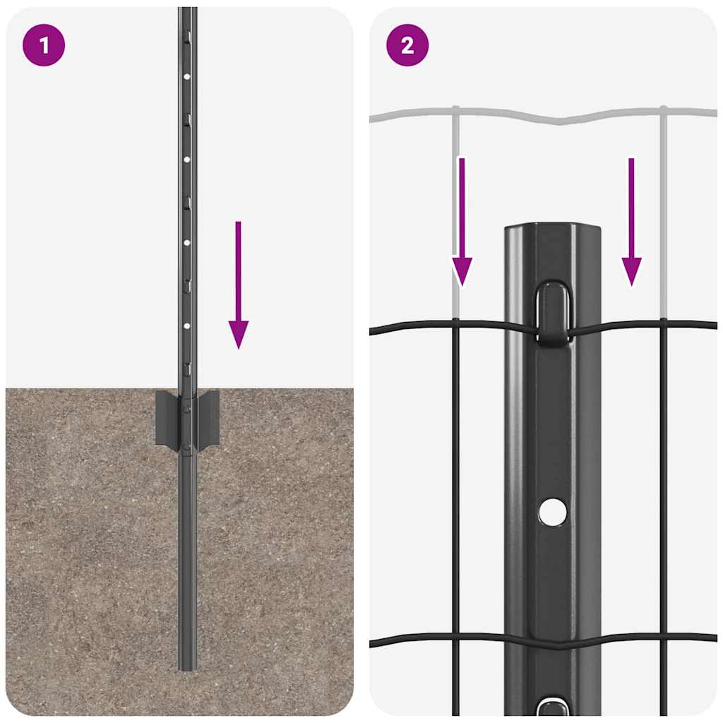 Eurohegn med stolpe 50 x 0,6 m PVC-belagt stål Grå Mesh