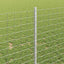 Eurohegn med stolpe 10 x 1 m Galvaniseret stål Sølv Mesh