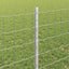 Eurohegn med stolpe 10 x 0,8 m Galvaniseret stål Sølv Mesh