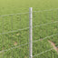 Eurohegn med stolpe 10 x 0,4 m Galvaniseret stål Sølv Mesh