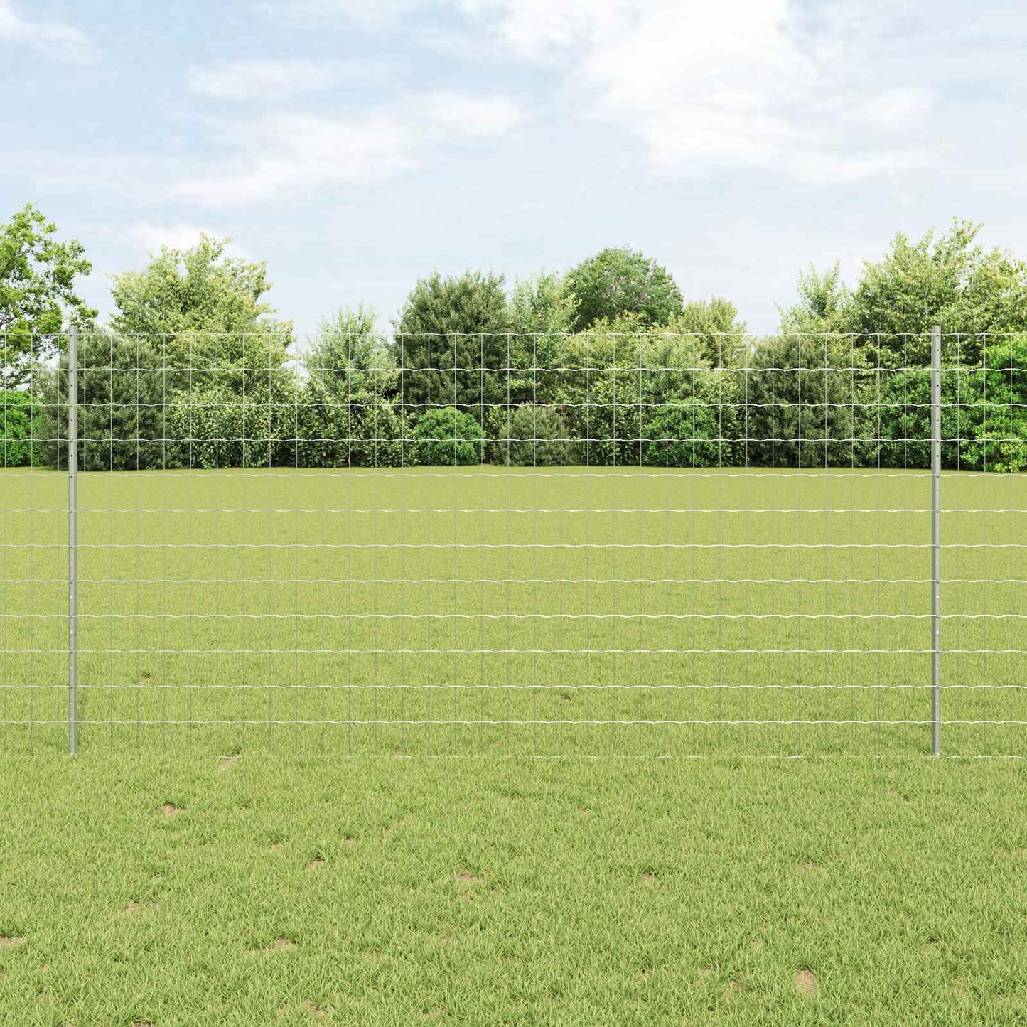 Eurohegn med stolpe 10 x 1,2 m Galvaniseret stål Sølv Mesh