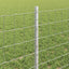 Eurohegn med stolpe 25 x 0,6 m Galvaniseret stål Sølv Mesh