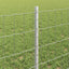 Eurohegn med stolpe 25 x 0,6 m Galvaniseret stål Sølv Mesh