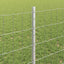 Eurohegn med stolpe 25 x 0,8 m Galvaniseret stål Sølv Mesh