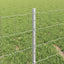 Eurohegn med stolpe 25 x 0,4 m Galvaniseret stål Sølv Mesh