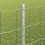 Eurohegn med stolpe 25 x 1,2 m Galvaniseret stål Sølv Mesh