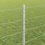 Eurohegn med stolpe 25 x 0,8 m Galvaniseret stål Sølv Mesh