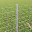 Eurohegn med stolpe 50 x 0,4 m Galvaniseret stål Sølv Mesh