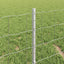 Eurohegn med stolpe 50 x 0,4 m Galvaniseret stål Sølv Mesh